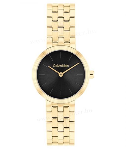 Calvin Klein CK25100187 karóra