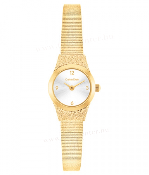 Calvin Klein CK25100193 karóra