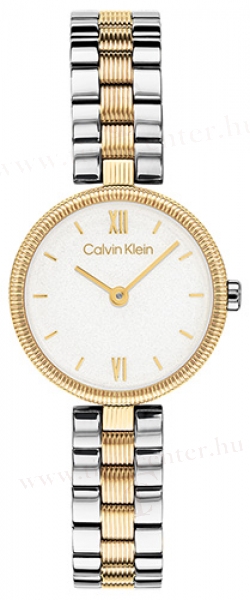 Calvin Klein CK25100226 karóra