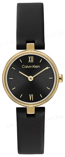 Calvin Klein CK25100230 karóra