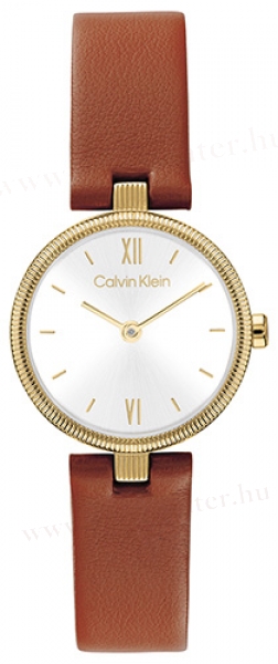 Calvin Klein CK25100231 karóra