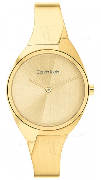 Calvin Klein CK25200235 karóra