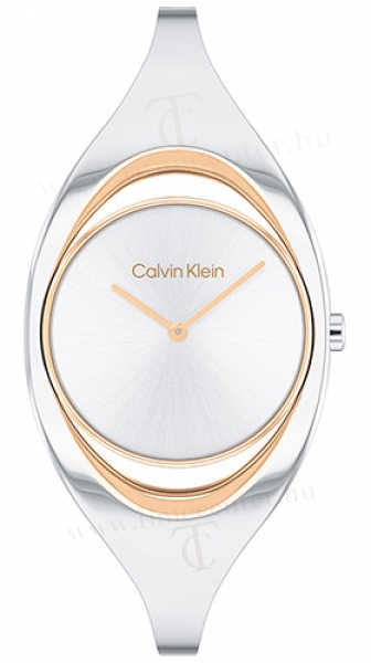 Calvin Klein CK25200393 karóra