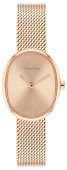 Calvin Klein CK25100175 karóra